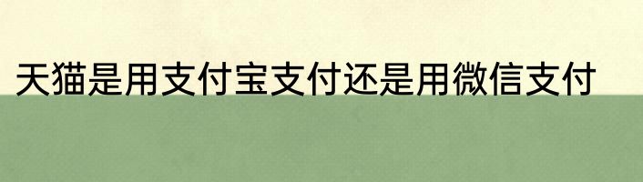 天猫是用支付宝支付还是用微信支付