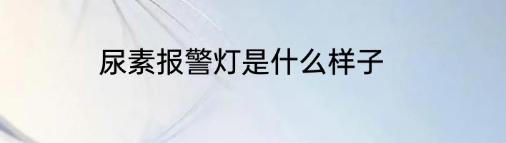 尿素报警灯是什么样子