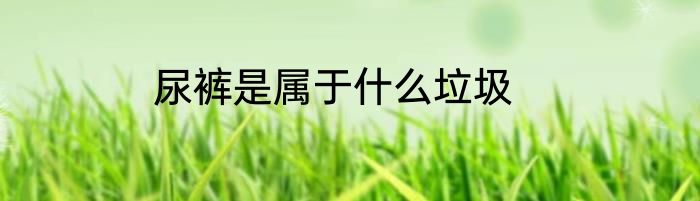 尿裤是属于什么垃圾