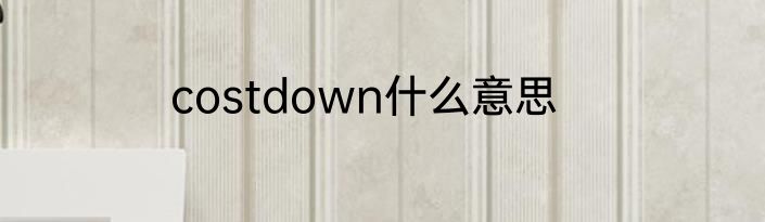 costdown什么意思