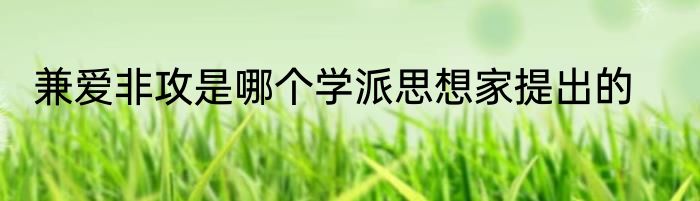 兼爱非攻是哪个学派思想家提出的