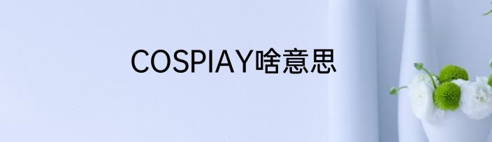 COSPIAY啥意思