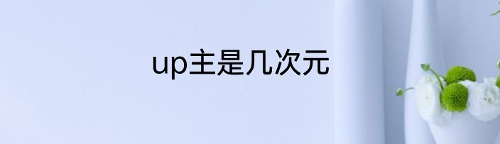 up主是几次元