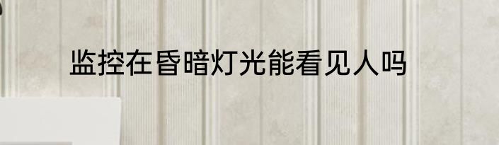 监控在昏暗灯光能看见人吗