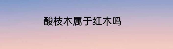 酸枝木属于红木吗