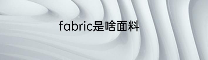 fabric是啥面料