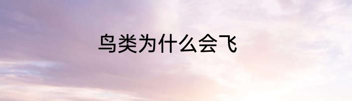 鸟类为什么会飞