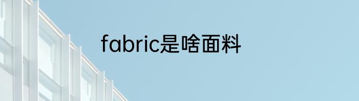 fabric是啥面料