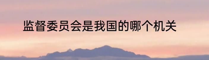 监督委员会是我国的哪个机关