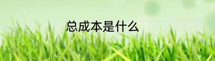 总成本是什么