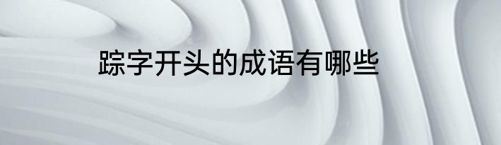 踪字开头的成语有哪些