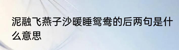 泥融飞燕子沙暖睡鸳鸯的后两句是什么意思