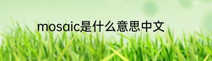 mosaic是什么意思中文