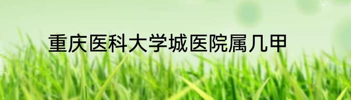 重庆医科大学城医院属几甲