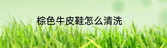棕色牛皮鞋怎么清洗