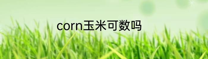 corn玉米可数吗