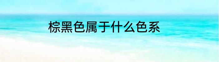 棕黑色属于什么色系