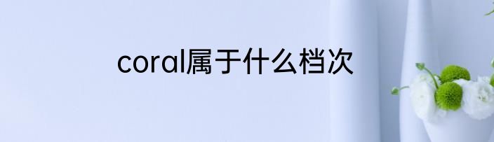 coral属于什么档次