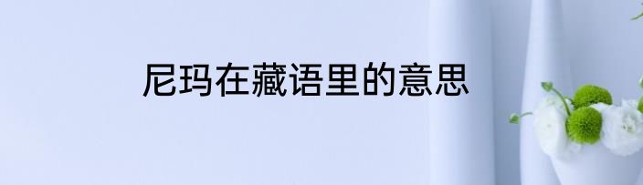 尼玛在藏语里的意思