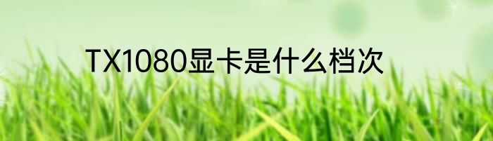 TX1080显卡是什么档次