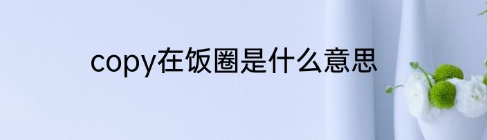 copy在饭圈是什么意思