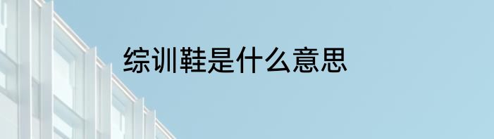综训鞋是什么意思