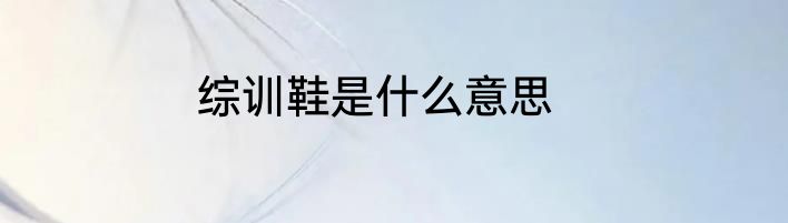 综训鞋是什么意思