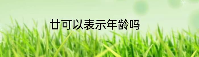 廿可以表示年龄吗