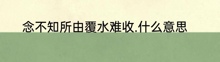 念不知所由覆水难收.什么意思