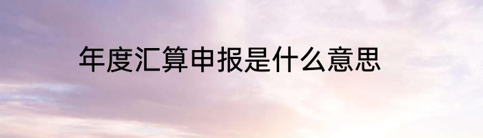 年度汇算申报是什么意思