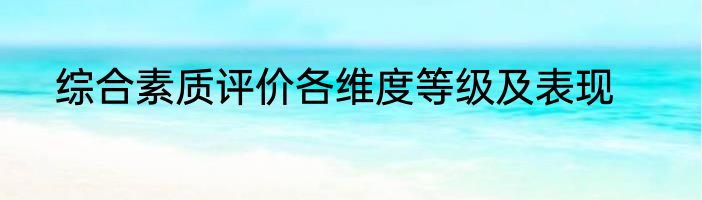 综合素质评价各维度等级及表现