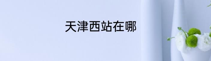天津西站在哪