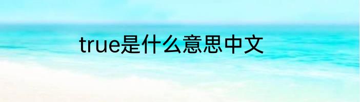 true是什么意思中文