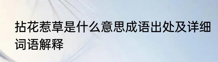 拈花惹草是什么意思成语出处及详细词语解释
