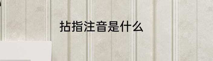 拈指注音是什么