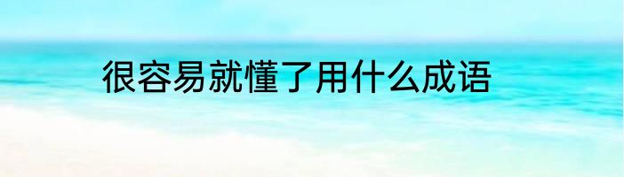 很容易就懂了用什么成语