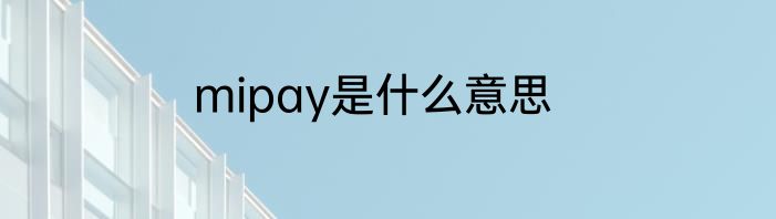 mipay是什么意思