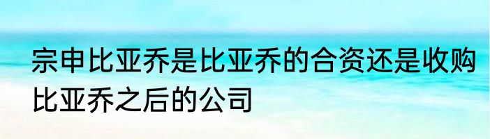 宗申比亚乔是比亚乔的合资还是收购比亚乔之后的公司