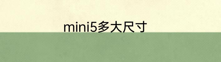 mini5多大尺寸