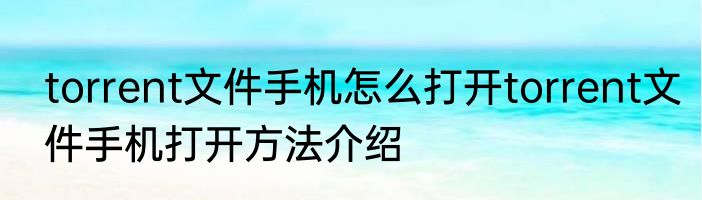 torrent文件手机怎么打开torrent文件手机打开方法介绍