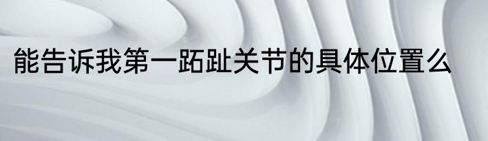 能告诉我第一跖趾关节的具体位置么