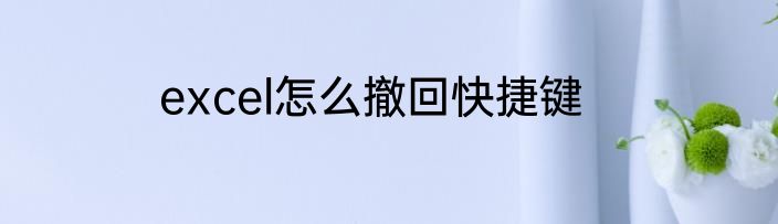 excel怎么撤回快捷键