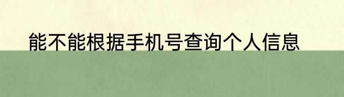 能不能根据手机号查询个人信息