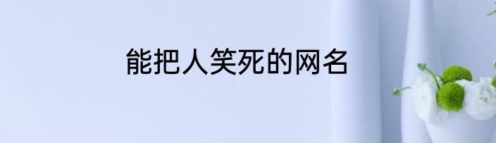 能把人笑死的网名