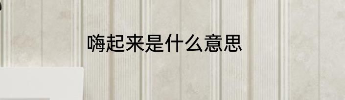 嗨起来是什么意思