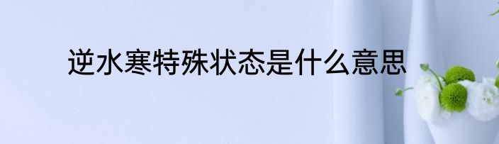 逆水寒特殊状态是什么意思