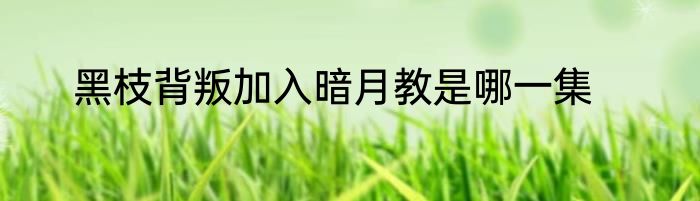 黑枝背叛加入暗月教是哪一集