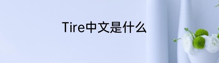 Tire中文是什么