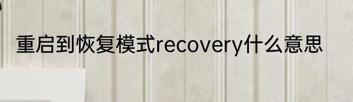重启到恢复模式recovery什么意思