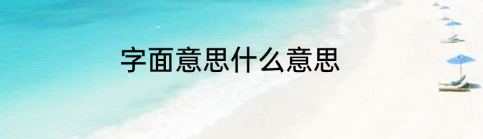 字面意思什么意思
